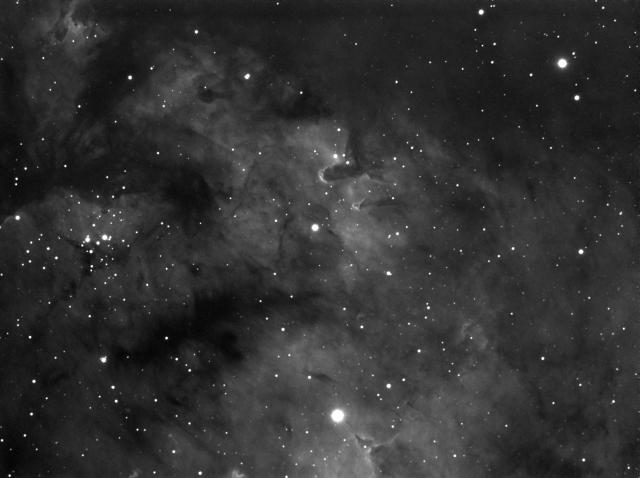 Cederblad 214 in Cepheus